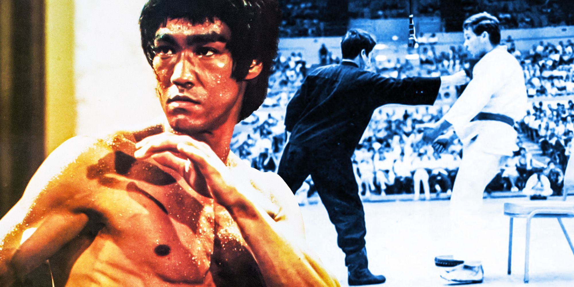 Bruce lee one inch punch