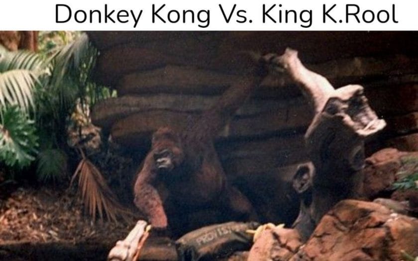Meme trick Kong.