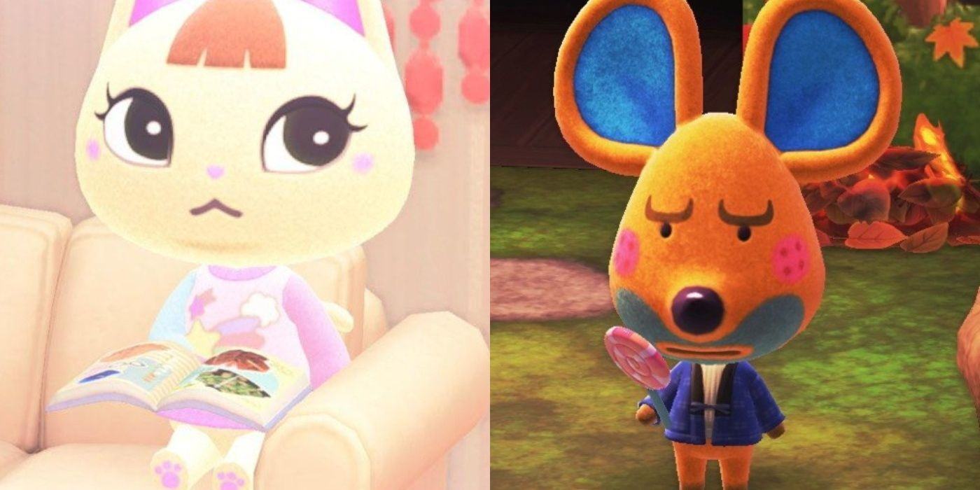 Animal Crossing: 5 Villagers We'd Love To Be Friends With (& 5 We'd Rather Avoid)