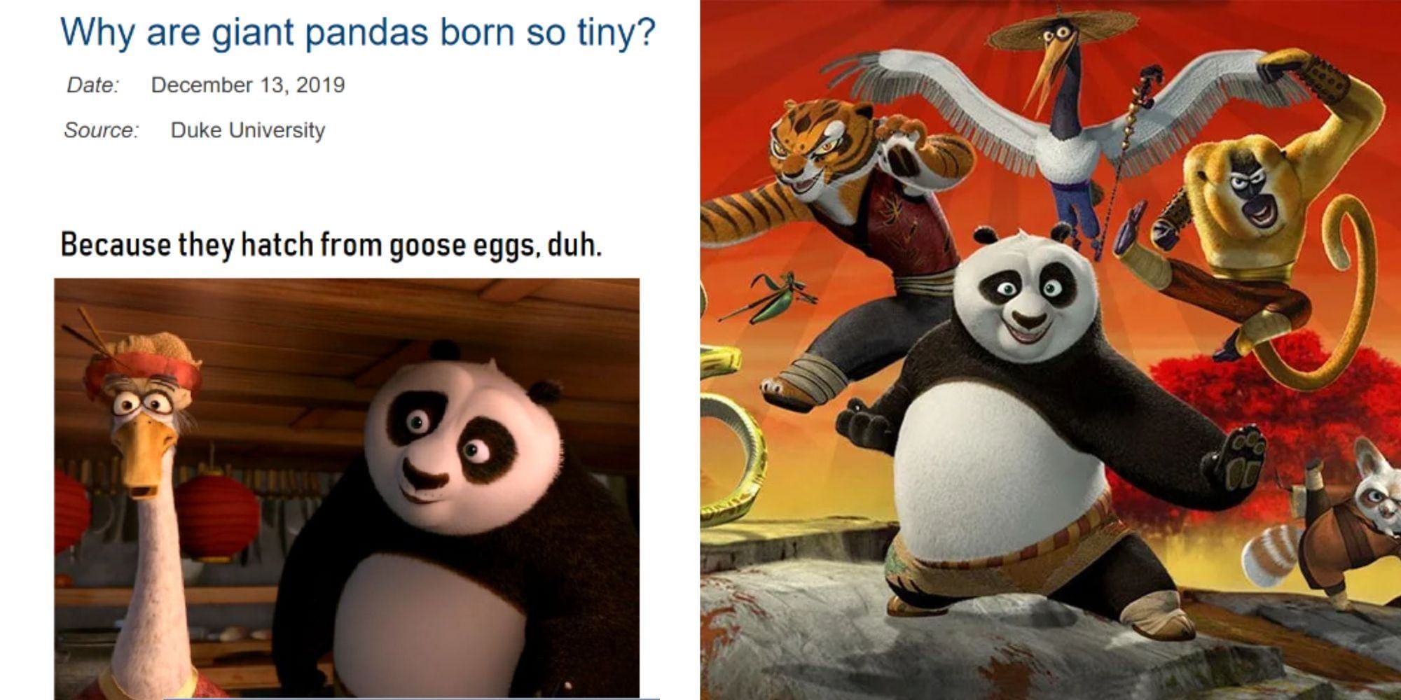 Split images of Kung Fu Panda meme and Kung Fu Panda characters posing for a photo