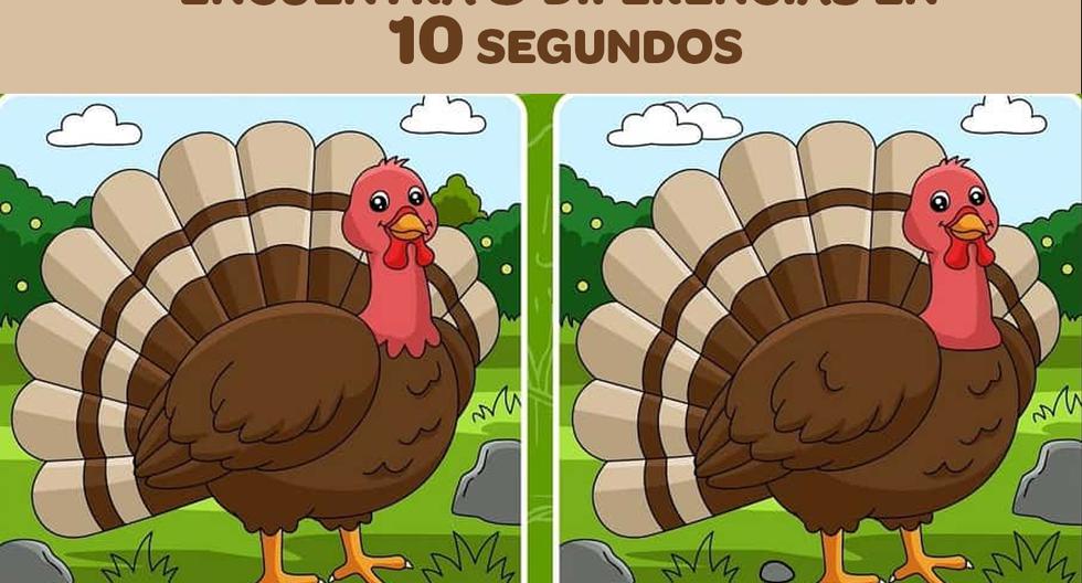 Find 5 differences between two turkey pictures in 10 seconds
