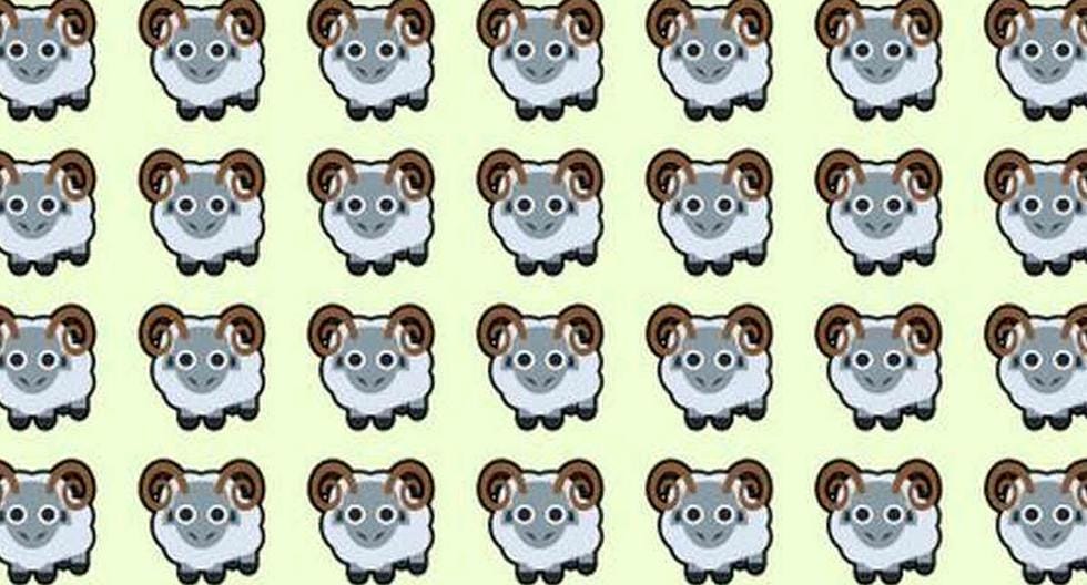 You only have 3 seconds to find the sheep and prove your vision is very good