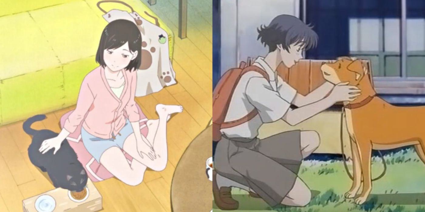A two-image collage. On the left, Daru the cat is pet by his owner in She and Her Cat: Everything Flows. On the right, Ikuko pets her dog Mametarou in Massugu Ni Ikou.