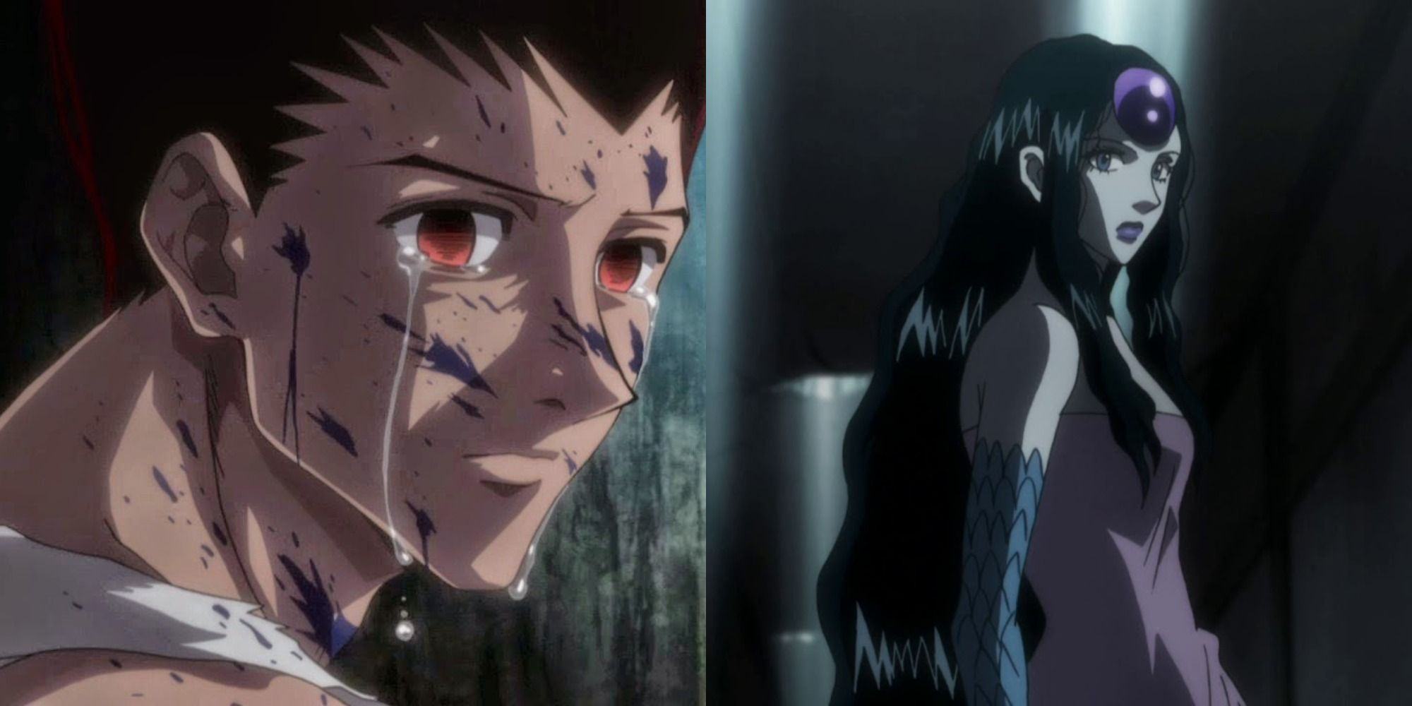 Split image showing Gon's transformation and Palm Siberia in Hunter x Hunter