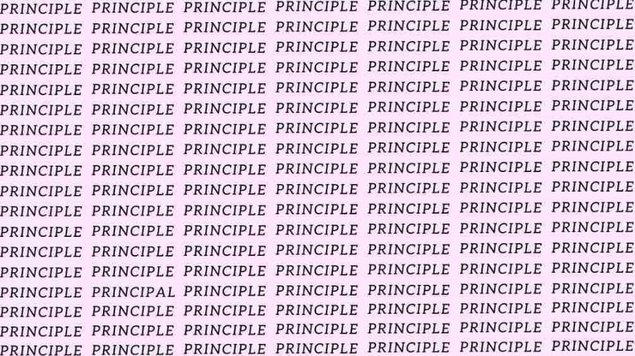 Observation Skill Test: If you have Eagle Eyes find the Word Principal among Principle in 15 Secs