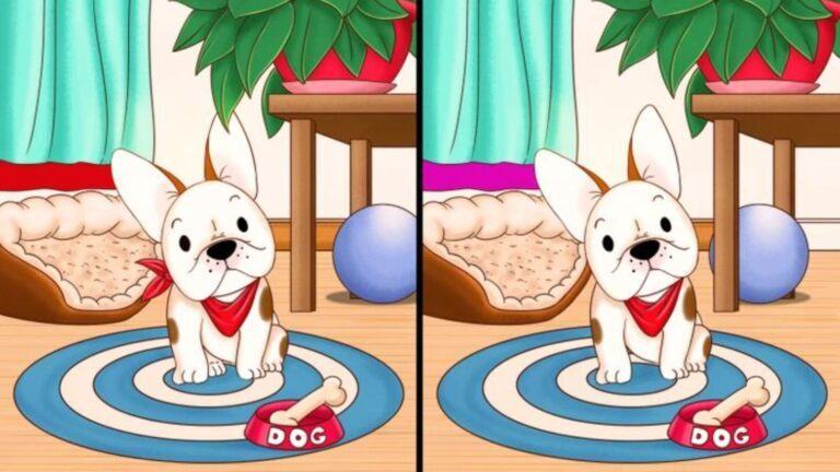 You've got the eyes of a hawk if you can spot five differences in these cute cartoon pugs in ten seconds.