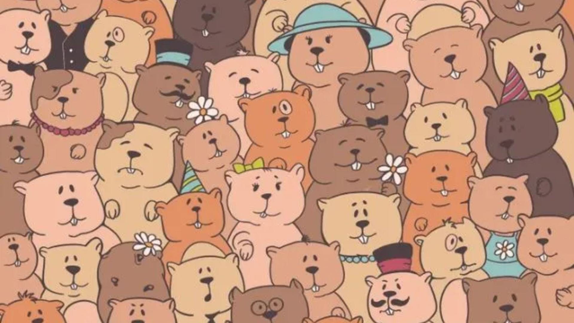 You have the eyes of a hawk if you see a potato hidden among bears in this optical illusion in five seconds.