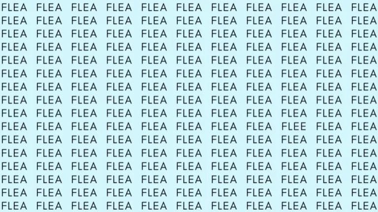 Observation Skill Test: If you have Eagle Eyes find the word Flee among Flea in 6 Secs