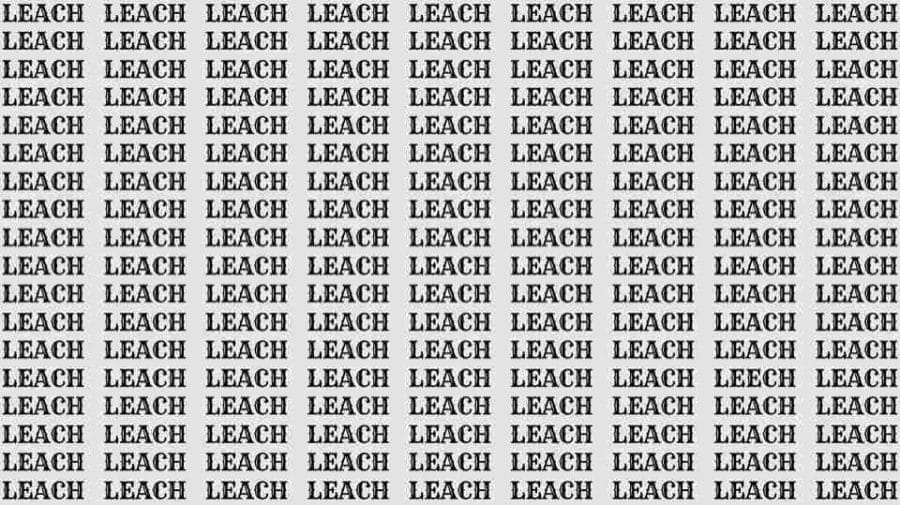 Observation Skill Test: If you have Eagle Eyes find the word Leech among Leach in 8 Secs