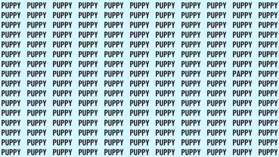 Observation Skill Test: If you have Eagle Eyes find the Word Pappy among Puppy in 12 Secs