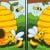 You Could Have A Superior IQ If You Could Spot Five Differences In These Hive Pictures In Ten Seconds