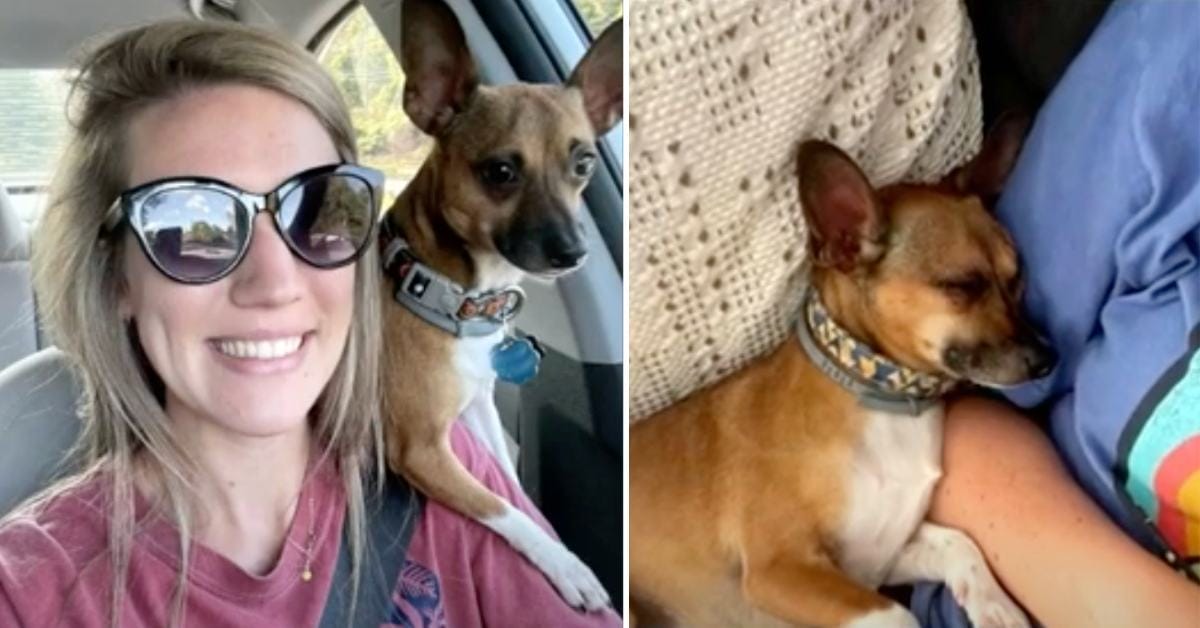 A caring and kind nurse adopted a terminally ill patient's dog so it wouldn't have to be taken to a shelter