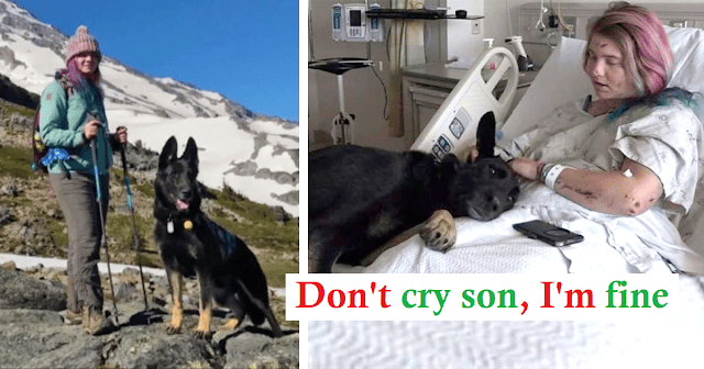 A mountaineer's loyal dog refuses to leave her side after she unexpectedly falls from a height of 300 feet