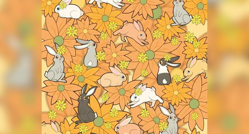 A visual challenge!  Can you find the carrot hidden among the rabbits in just 5 seconds?