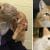 A woman adopts an elderly cat, then returns to the shelter to rescue her 17-year-old best friend