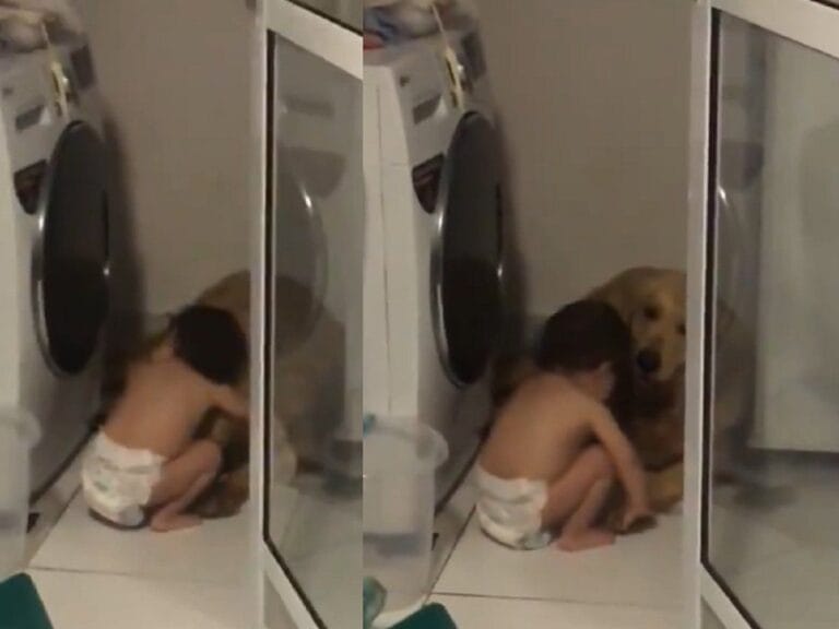 Adorable video shows a boy comforting his scared dog during a thunderstorm