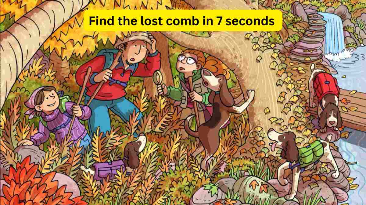 Brain Teaser Challenge- Spot the lost comb in 7 seconds!