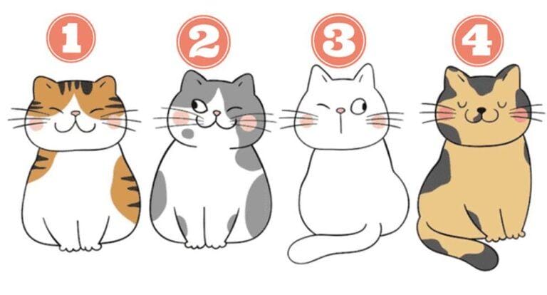 Choose one of the cats and the personality test will reveal your life purpose