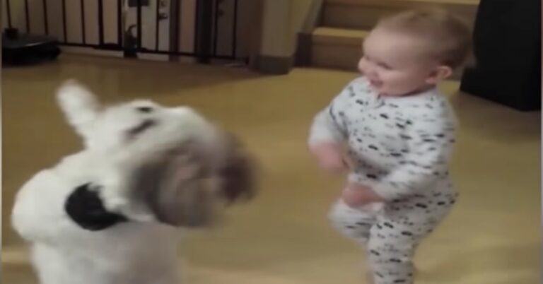 Cute baby imitates dog asking for food