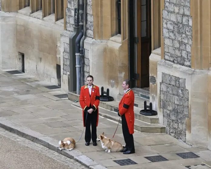 Emotional moment: The Queen's corgis stood outside Windsor Castle to say goodbye