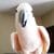 Funny footage.  The talkative parrot has something very important to say - he's too good