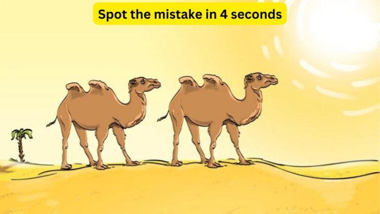 IQ Challenge: Spot the mistake in 4 seconds