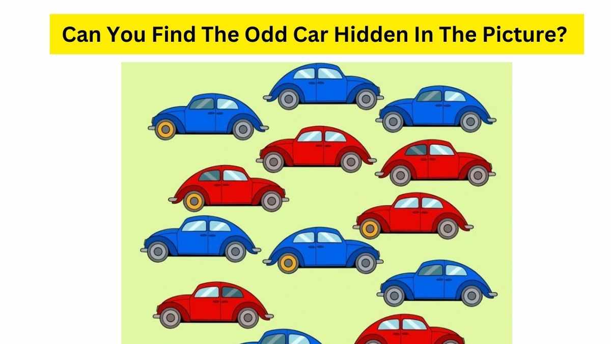 Do you find the odd card hidden in the picture?