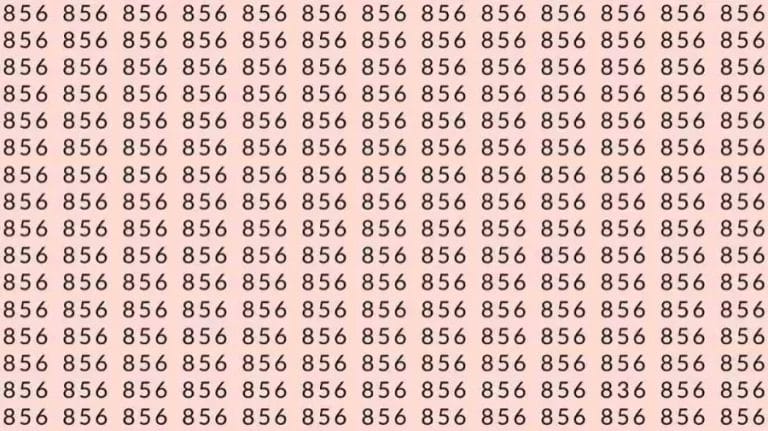 Observations Skills Testt: If you have Sharp Eyes find the number 836 among 856 in 7 Seconds?