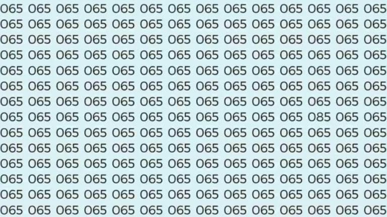 Observation Skills Test: If you have Sharp Eyes find the number 085 among 065 in 7 Seconds