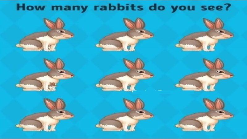 Only a genius can figure out how many rabbits are in the picture?