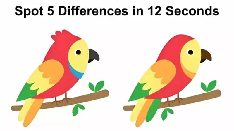 Only the most discerning eyes can spot 5 differences between two images in 12 seconds