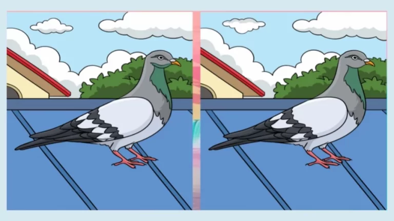 Optical Illusion Spot the Difference Game: If You Have Eagle Eyes Find the Difference Between Two Images Within 15 Seconds?