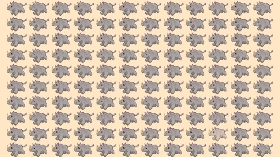 Optical Illusion: Can you find the Odd Rhino within 10 Seconds?