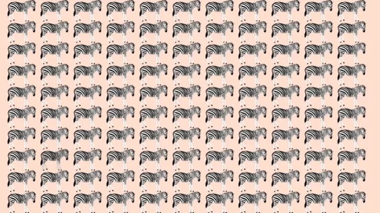 Optical Illusion: Can you spot the Odd Zebra in 10 Seconds?