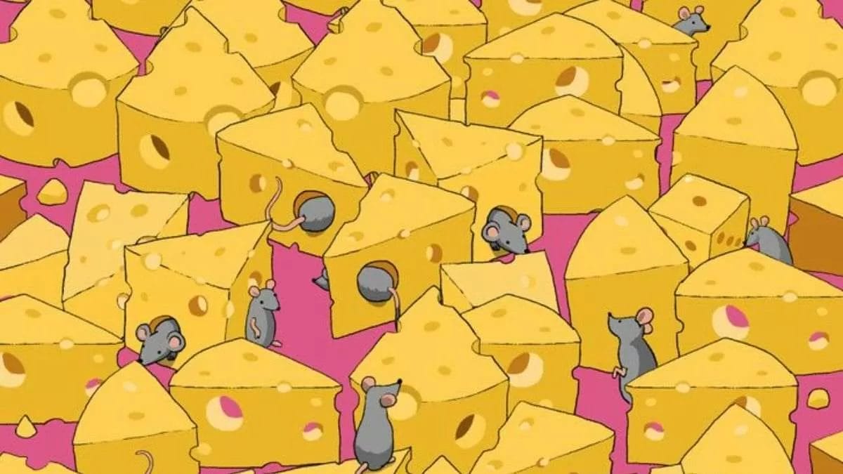 Optical illusion for IQ test: People with high intelligence can solve this optical illusion test.  Only 1% of people can find the cube between the mouse and the cheese in 11 seconds.