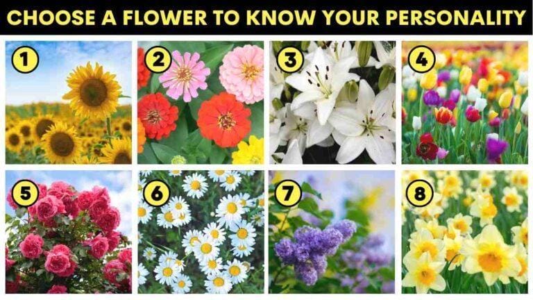 Personality Test: The Flower You Choose Reveals Your Hidden Personality Traits