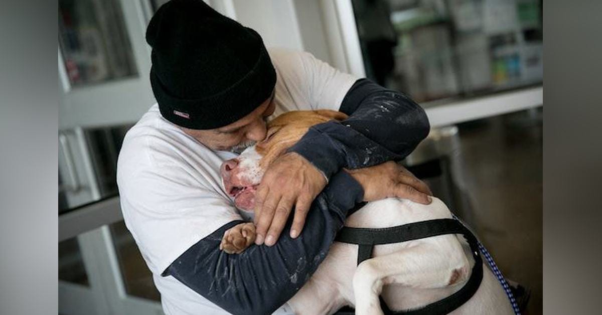 The dog clung to his father, who was finally able to return to the shelter to pick him up