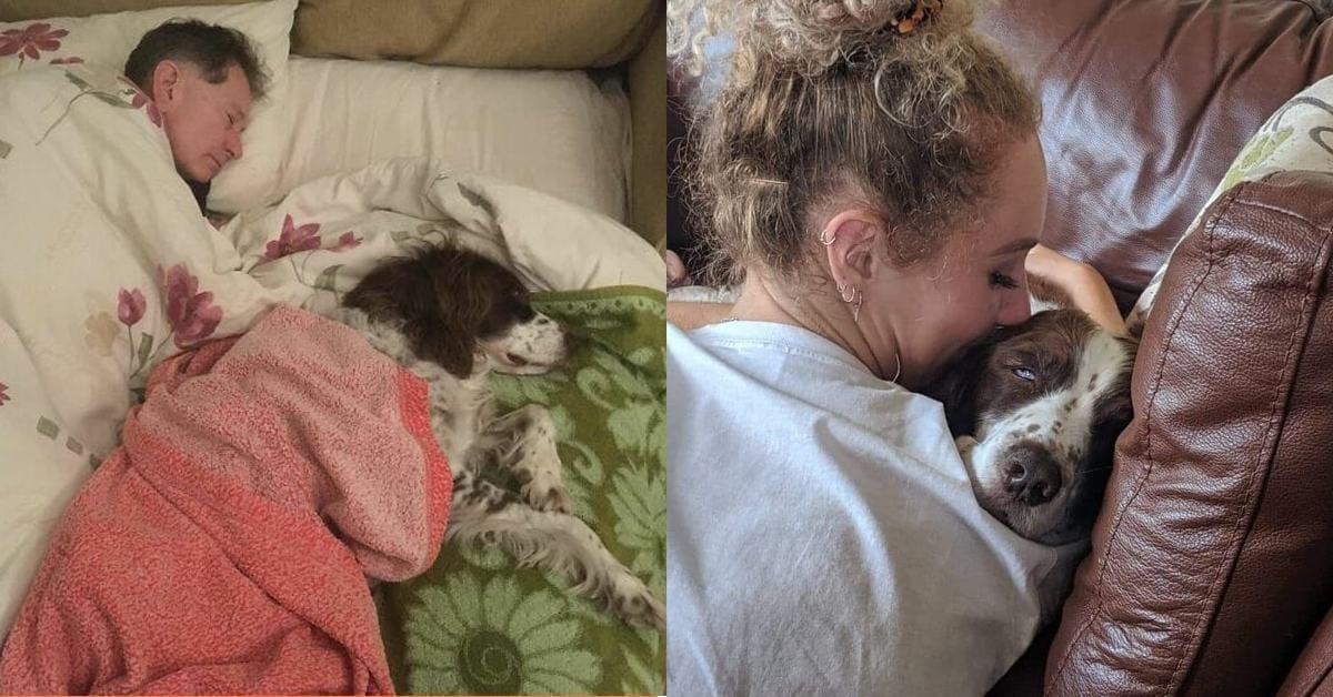 The family takes turns sleeping with their older dog to keep him company and not let him sleep alone