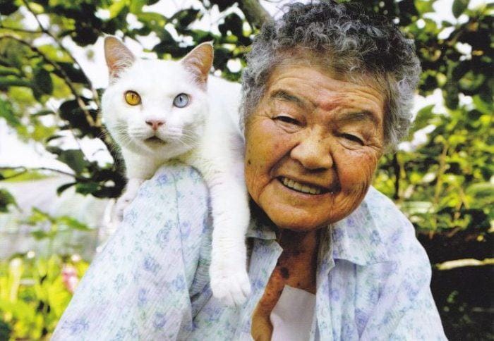 The touching story of a cat who stayed with his best friend until death