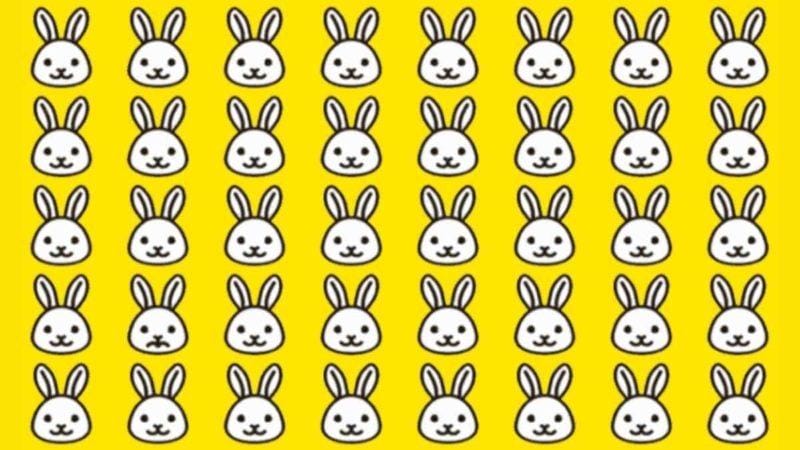 Try to find Weird among the rabbits in the picture.  Can you solve this puzzle in 5 seconds?