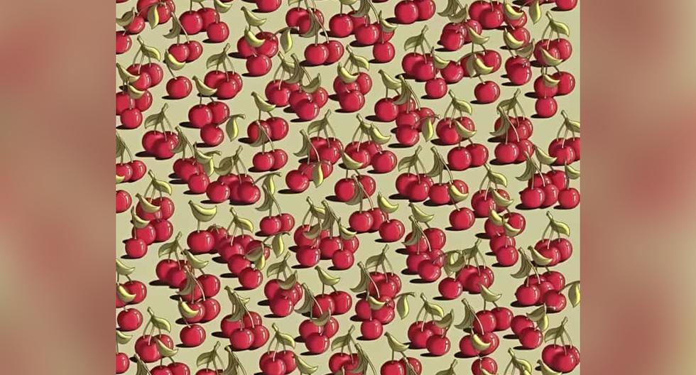 Where are tomatoes?  Find the intruder among the cherries in just 9 seconds