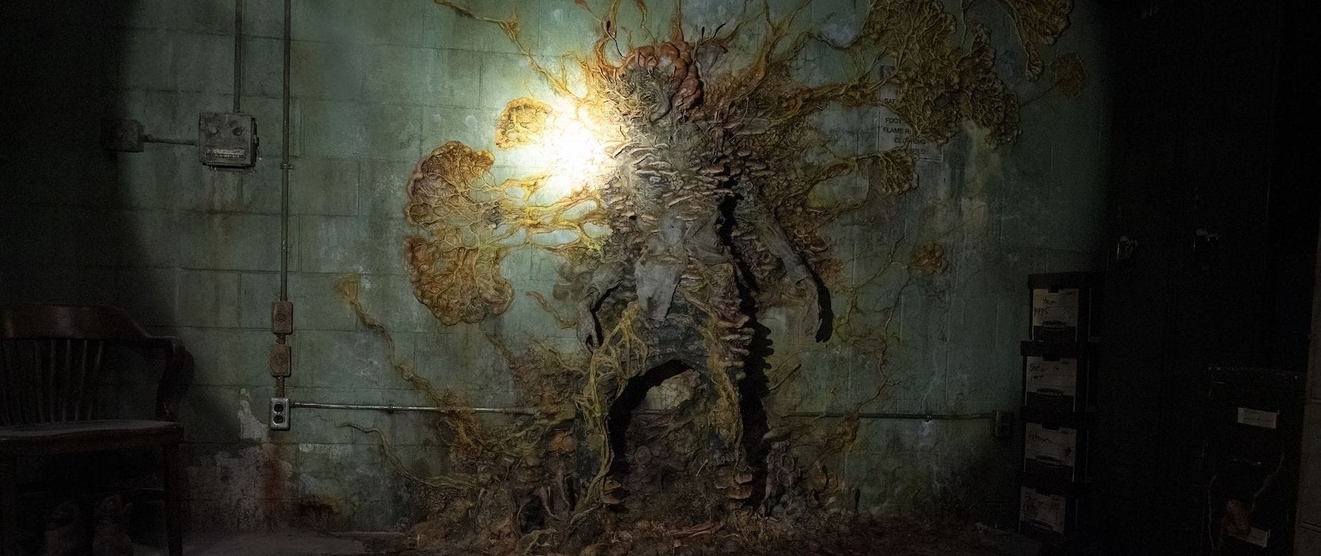 The Last of Us zombies Cordyceps fungi
