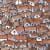 You have the eyes of a hawk if you can see the cat hiding among the houses in the viral image.