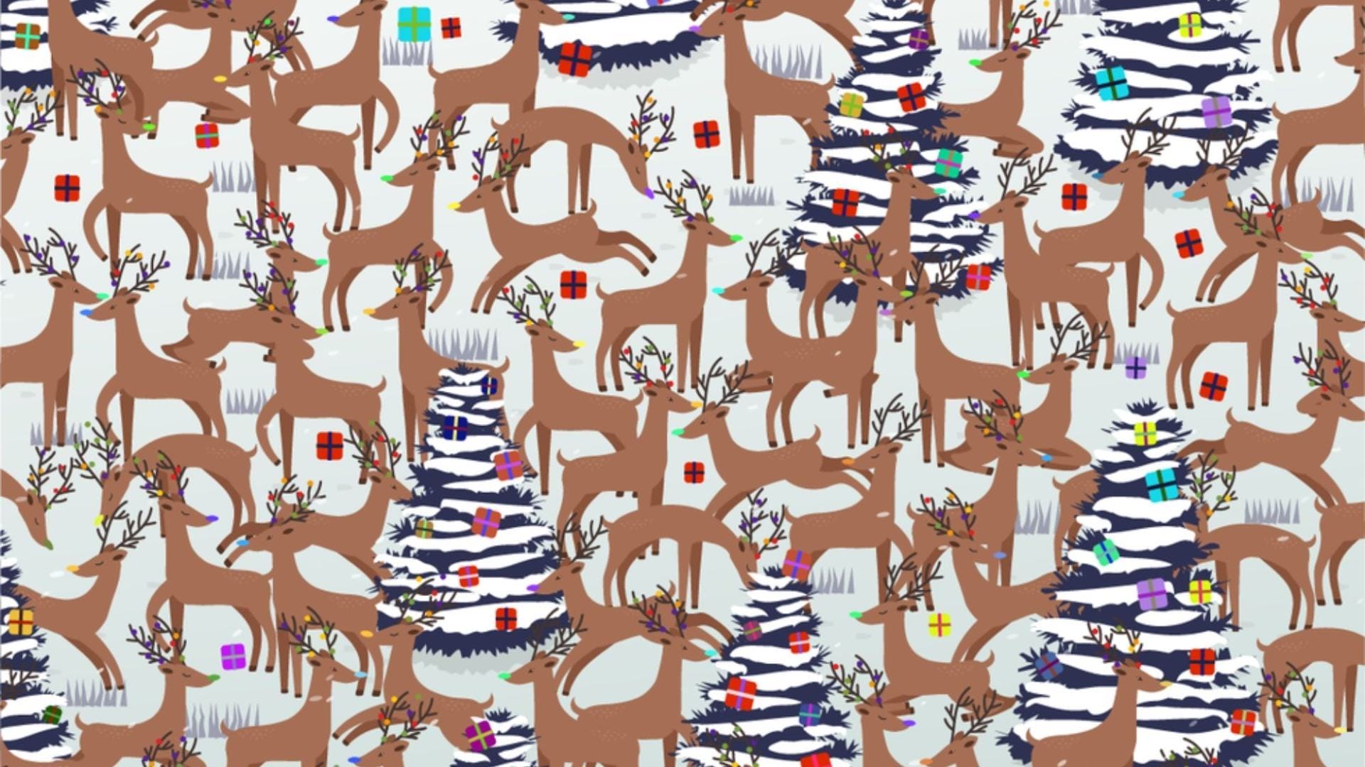 You've got the eyes of a hawk if you can spot Rodolfo and his red nose in this festive puzzle.