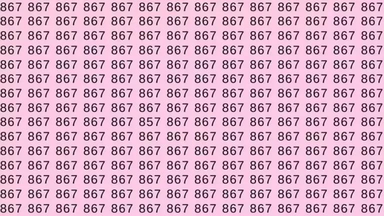 Optical Illusion Brain Test: If you have Hawk Eyes Find the number 857 among 867 in 9 Seconds?