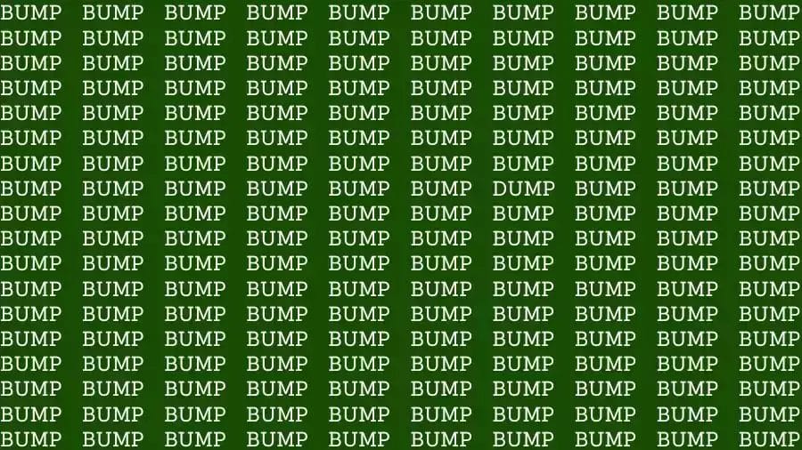 Optical Illusion Brain Test: If you have Eagle Eyes find the Word Dump among Bump in 12 Secs