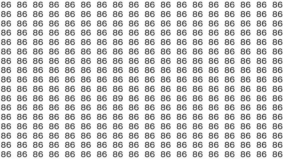 Observation Skill Test: If you have Hawk Eyes Find the number 89 among 86 in 10 Seconds?
