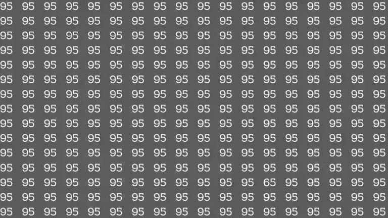 Observation Skill Test: If you have Eagle Eyes Find the number 65 among 95 in 15 Seconds?