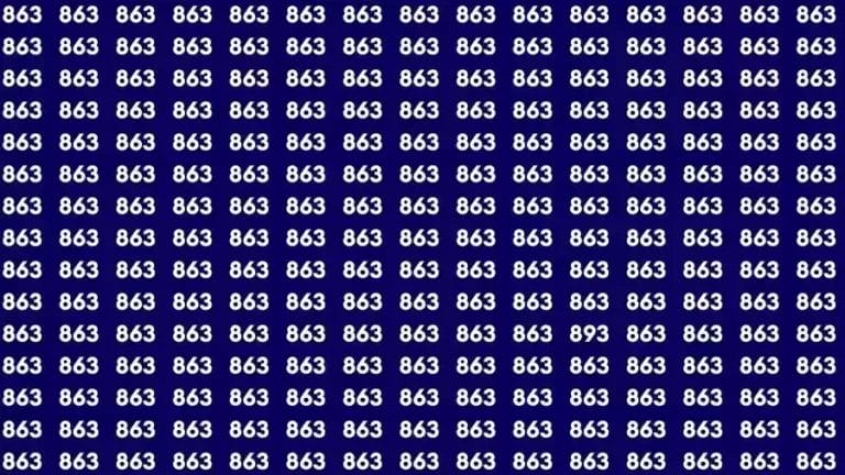 Optical Illusion Brain Test: If you have Eagle Eyes Find the number 893 among 863 in 16 Seconds?