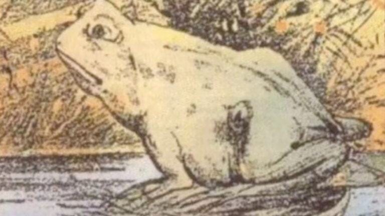You have a high IQ if you can spot the second animal in frog optical illusion – so what do you see?